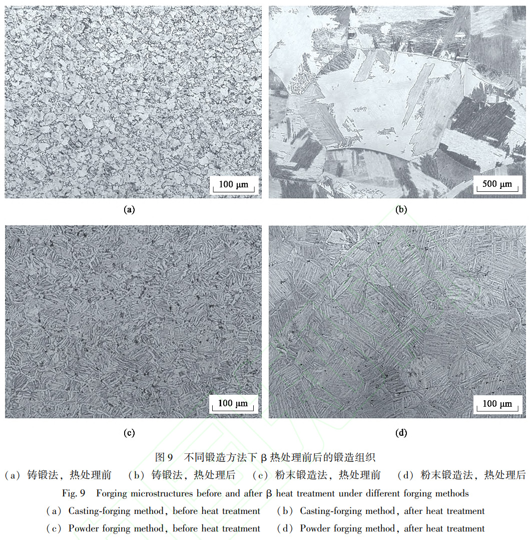 鈦合金粉末冶金β相區熱加工組織行為