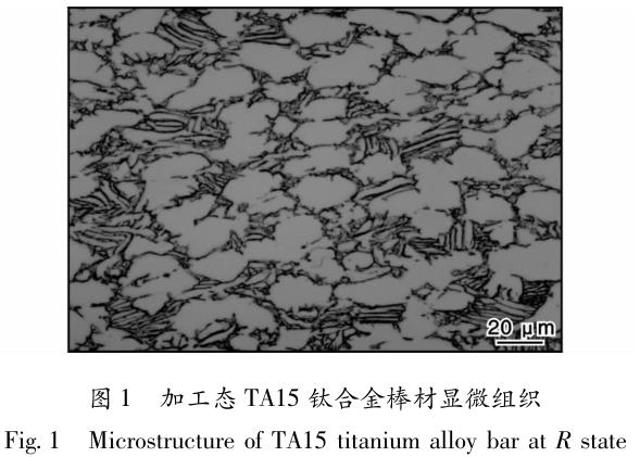 1695565448999200.jpg t1.jpg