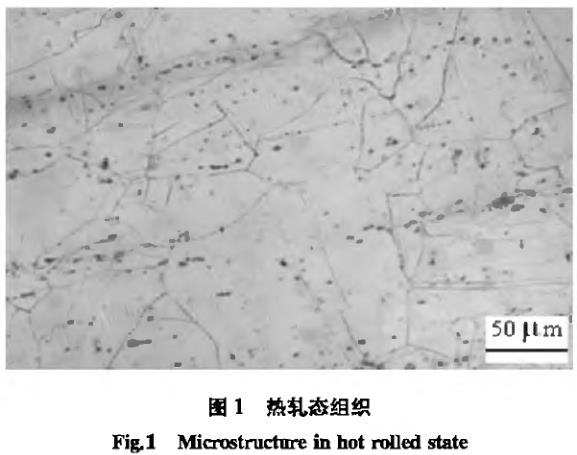 1695767312263865.jpg t1.jpg