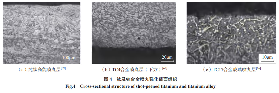 1681567793508899.jpg 1664091180139790.jpg