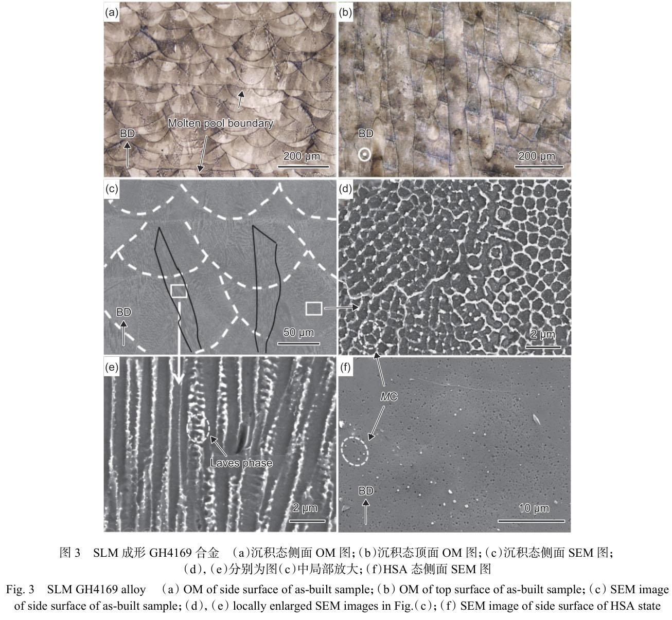 1716285200702740.jpg 未標題-1.jpg