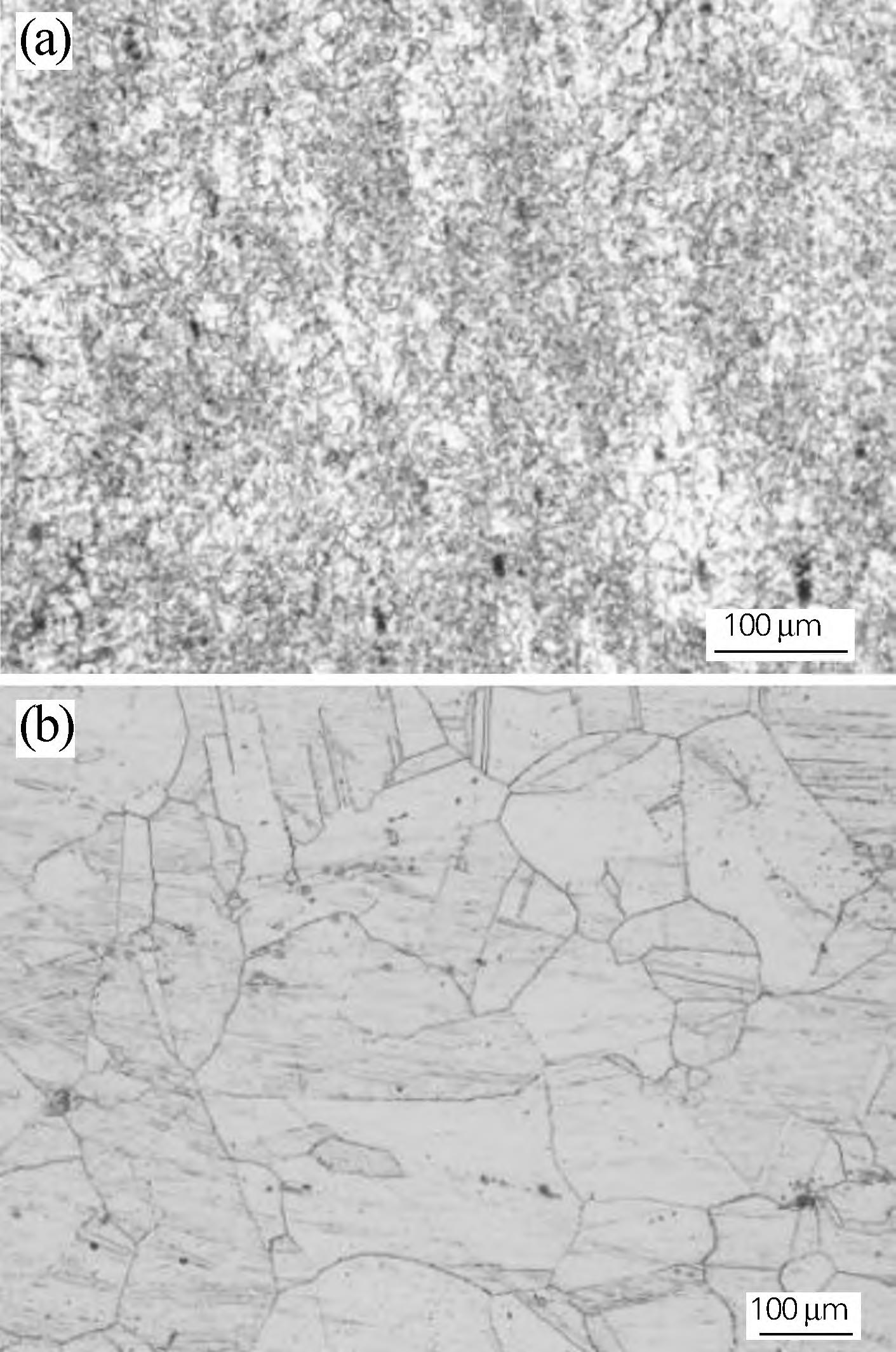 1716339777518859.jpg 1.jpg