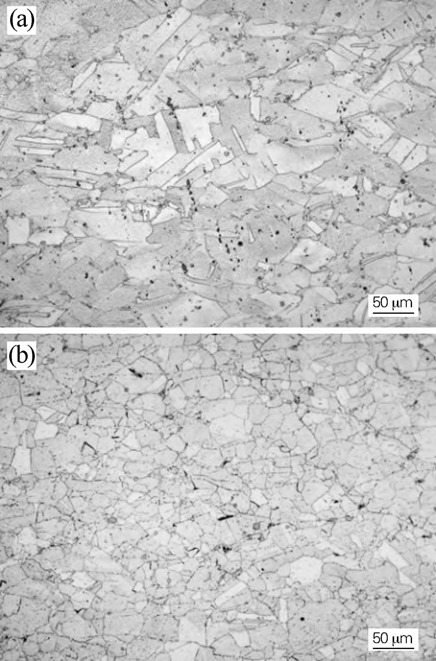 1716341613735232.jpg 10.jpg