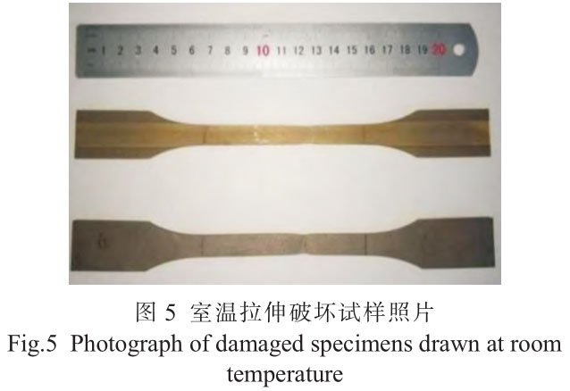 1716453772598443.jpg t5.jpg