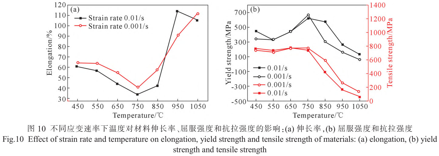 1716453826349122.jpg t10.jpg