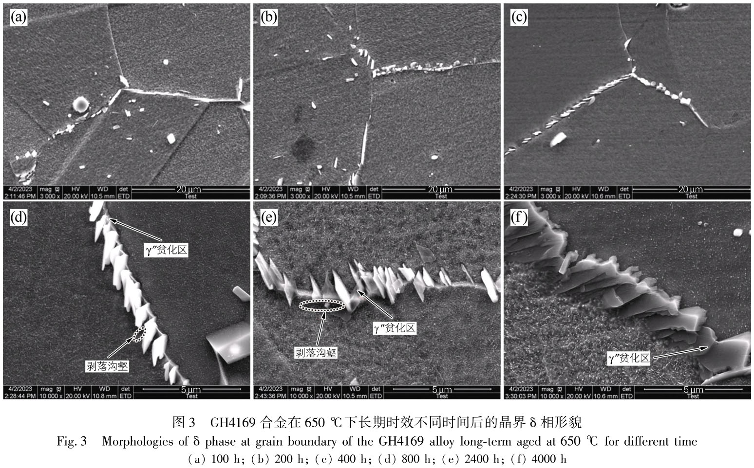 1716539290633164.jpg t3.jpg