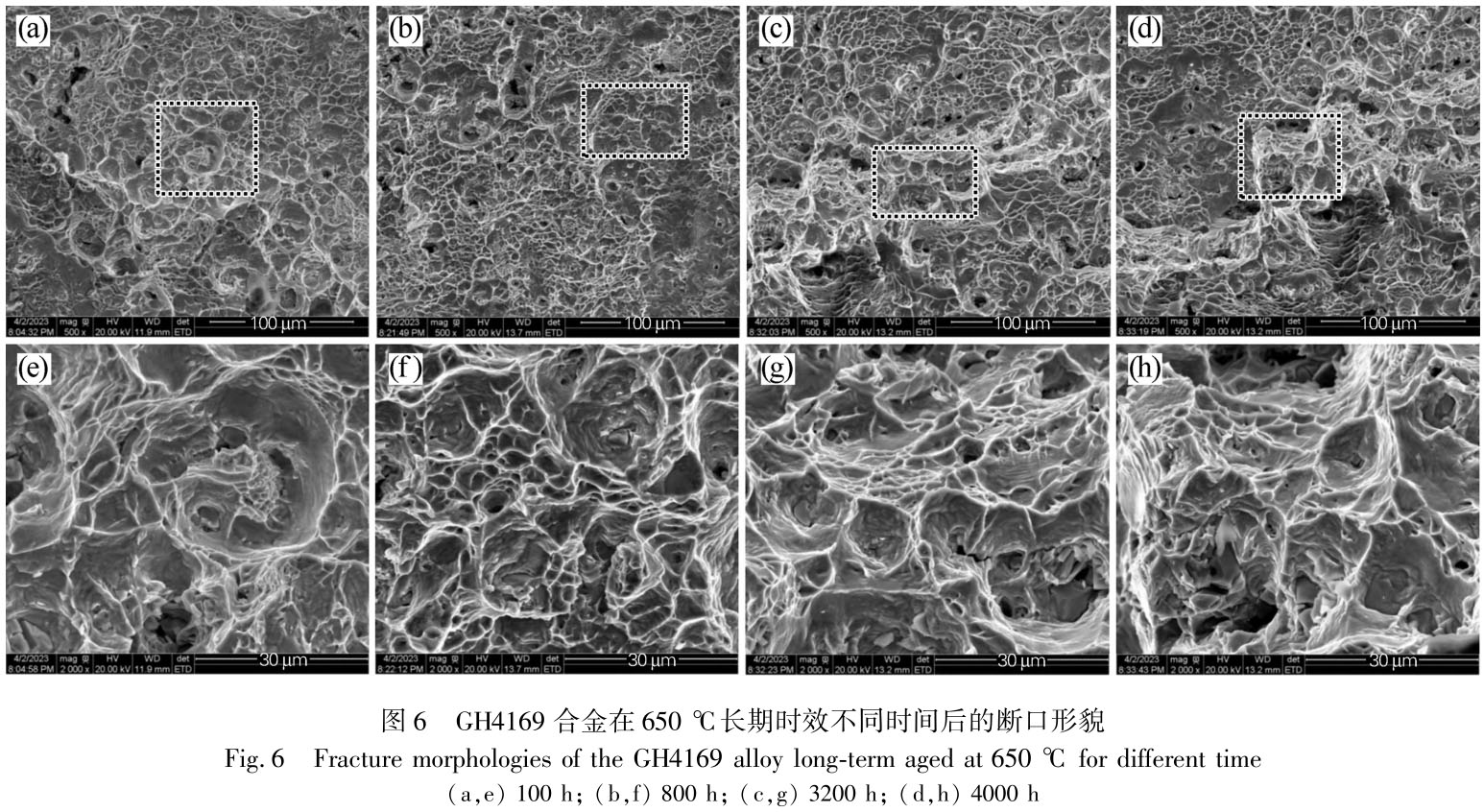 1716539324784180.jpg t6.jpg