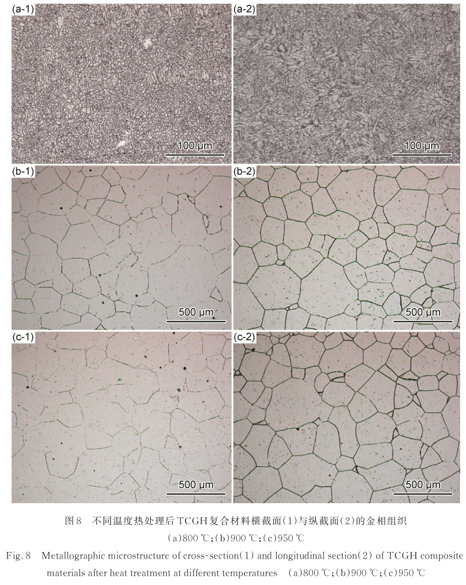 1720841322382606.jpg t8.jpg