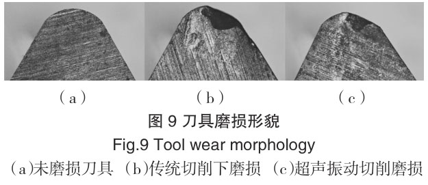 1720944699498736.jpg t9.jpg