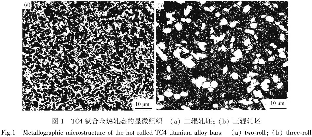 1705876394294125.jpg t1.jpg