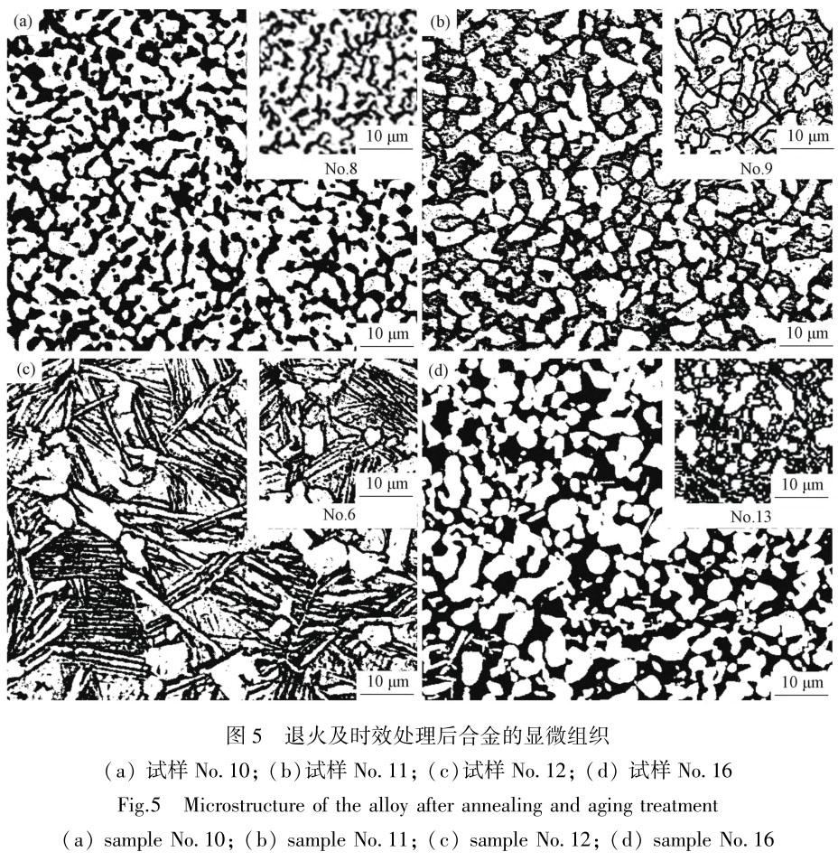 1705876485202996.jpg t5.jpg