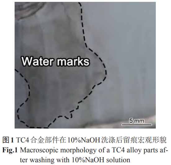 1738593603894289.png 截圖20250203223557.png