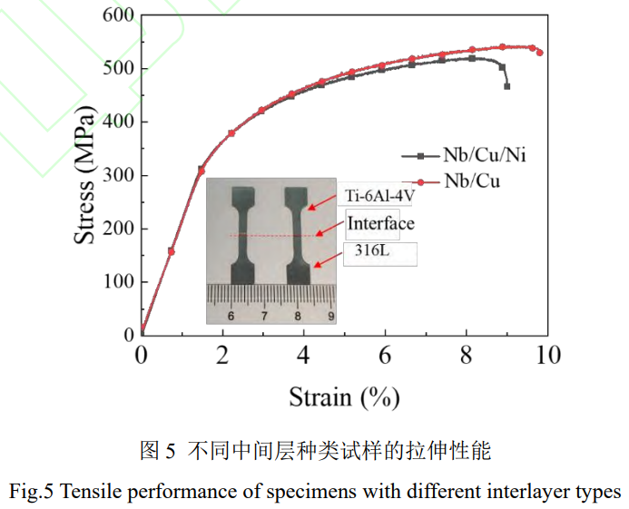 1739067093958943.png 截圖20250208225512.png